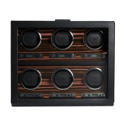 Wolf Roadster 6 Piece Winder In Gold