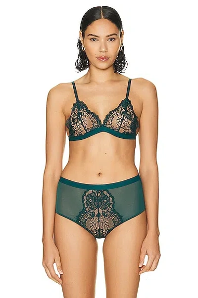 Wolford Belle Fleur Triangle Bralette In Emerald