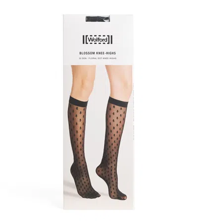 Wolford Blossom 20 Knee-high Stockings In Black