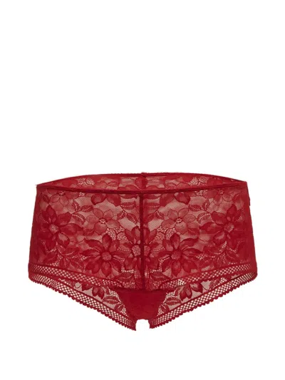 Wolford Floral-lace Briefs In Red