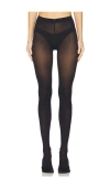 Wolford Jacquard Tights In Deep Night & Black