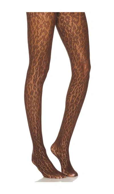 Wolford Leo Lace Tights In 焦茶色