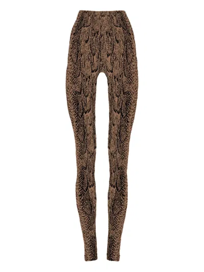 Wolford Python-print Leggings In Brown
