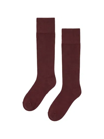 Wolford Ribbed Knee-high Socks In Red