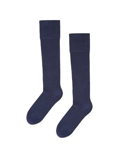Wolford Ribbed-knit Knee-high Socks In Blue