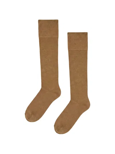 Wolford Ribbed-knit Knee-high Socks In Brown