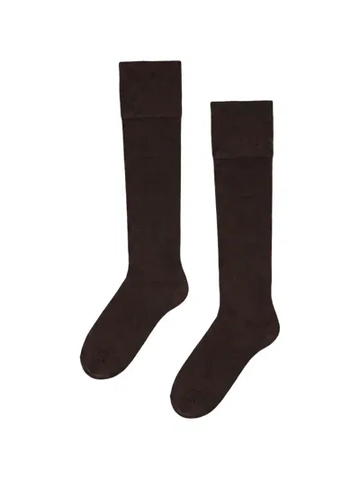 Wolford Ribbed-knit Knee-high Socks In Brown