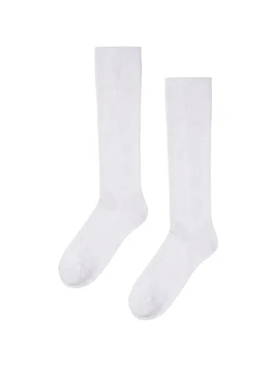 Wolford Ribbed-knit Knee-high Socks In White