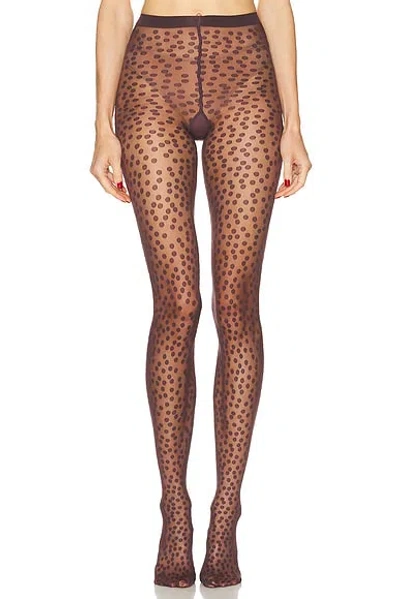 Wolford Sweet Dots Tights In Brown