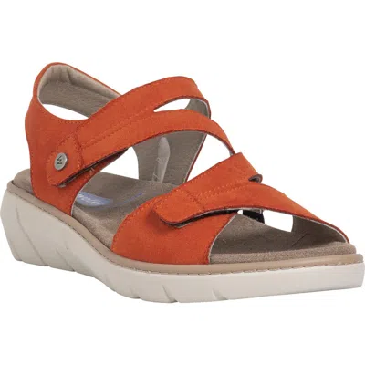 Wolky Ikaria Slingback Platform Wedge Sandal In Brown