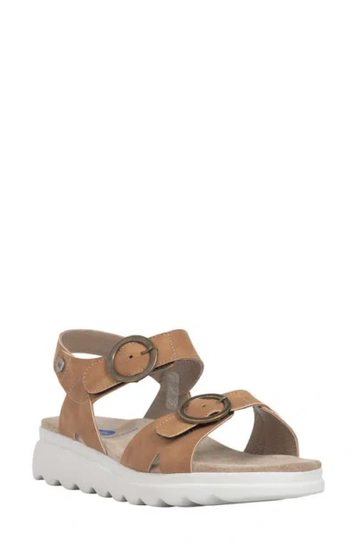Wolky Voyage Ankle Strap Sandal In Brown