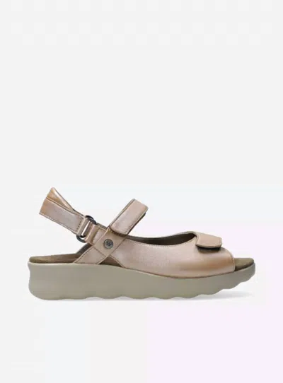 Wolky Women's Pichu Sandal In Pearl Khaki In Multi