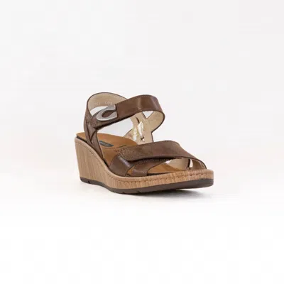 Wolky Women's Sanibel Wedge Sandal In Cedar Brown