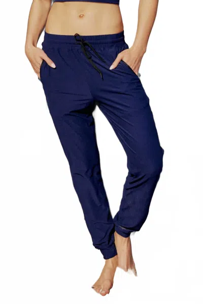 Wolven Vegan Suede Finish Jogger Pants In Sapphire In Blue