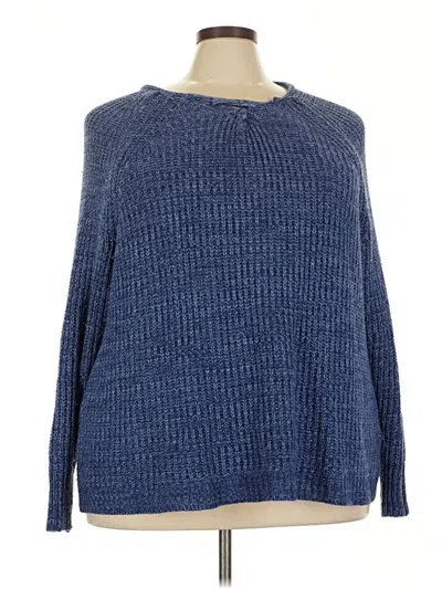 Pre-owned Woman Within Pullover Sweater In Blue