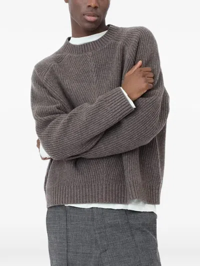 Won Hundred Bently Raglan-sleeve Sweater In Brown