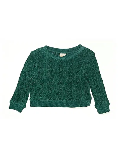 Pre-owned Wonder Nation Babies' Pullover Sweater In Green