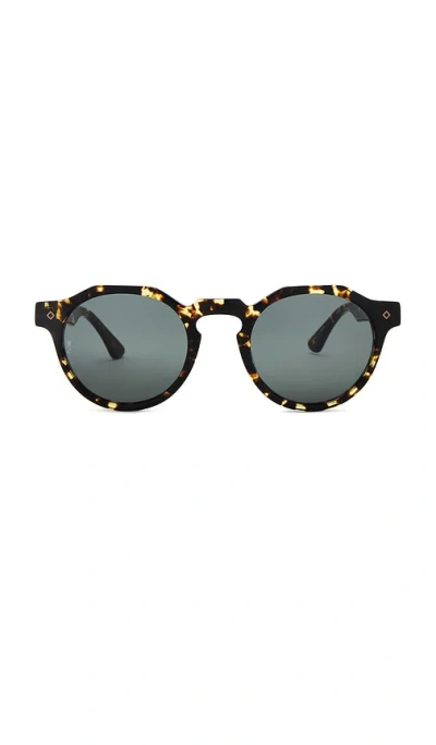 Wonderland Fontana Sunglasses In Brown