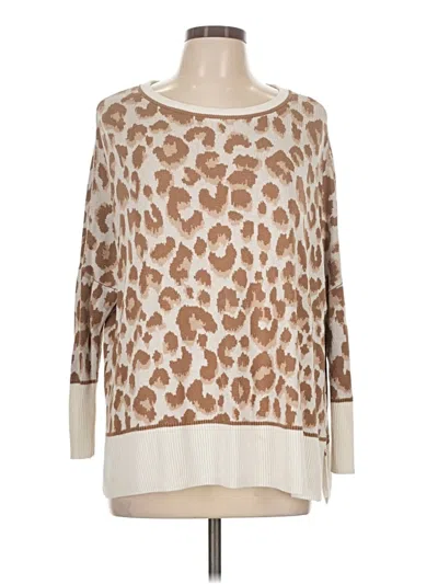 Pre-owned Wonderly Pullover Sweater In Brown