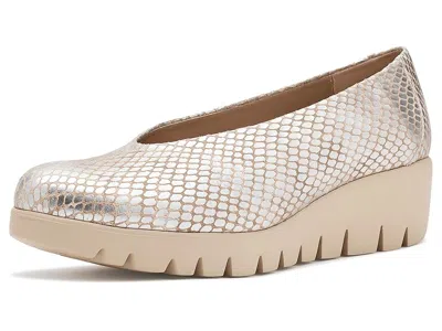 Wonders C-33100 High In Neutral