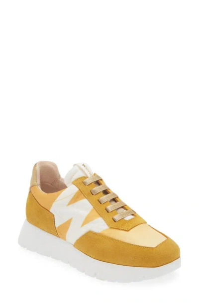 Wonders Odisei Sneaker In Trend Sun Maiz