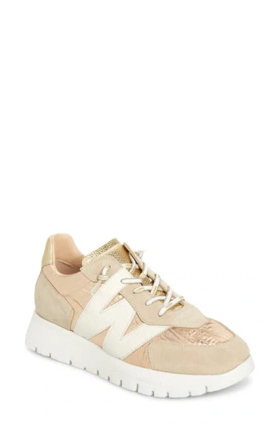 Wonders Oslo Sneaker In Trend Beige Platino