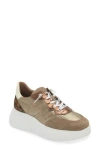 Wonders Roma Taupe Mixed Textile Chunky Trainers In Taupe/ Gold/ Leo Combo