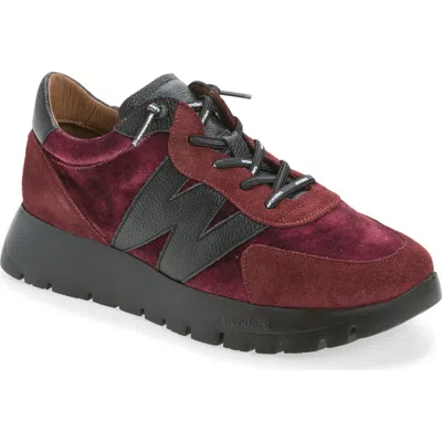 Wonders Velvet Platform Sneaker In Vino