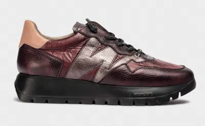 Wonders Women's Odesei Leather Sneaker In Burgundy In Multi