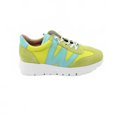 Wonders Women Racer Sneakers In Cyber/wild Seaweed In Multi