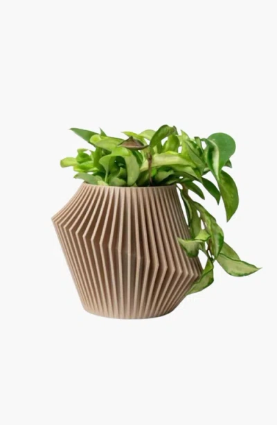 Woodland Pulse Disc Modern Plant Pot Planter In Beige