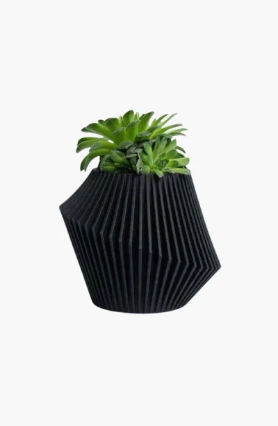 Woodland Pulse Disc Modern Plant Pot Planter In Black