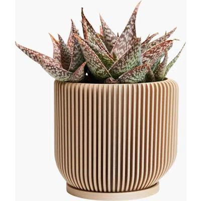 Woodland Pulse Ionic Modern Ribbed Planter Planter, Plant Pots, Flower Pots
