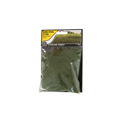 Woodland Scenics 12 Mm Static Grass - Dark Green