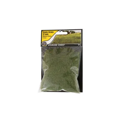 Woodland Scenics 12 Mm Static Grass - Medium Green