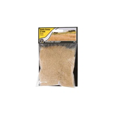 Woodland Scenics 12 Mm Static Grass - Straw