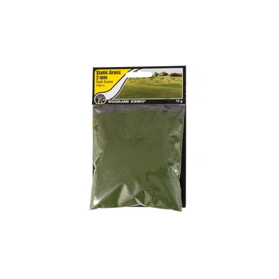 Woodland Scenics 2 Mm Static Grass - Dark Green