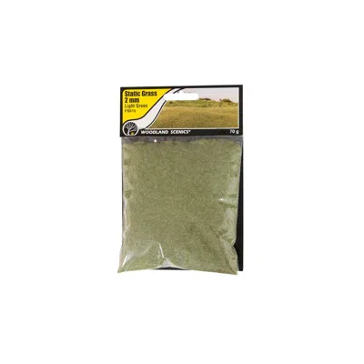 Woodland Scenics 2 Mm Static Grass - Light Green