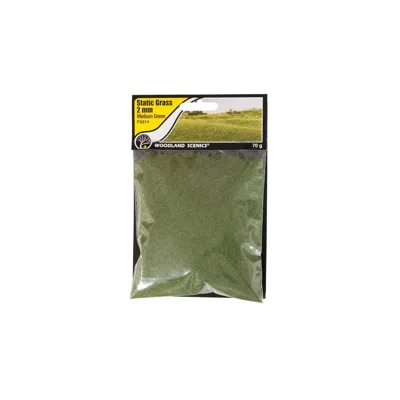 Woodland Scenics 2 Mm Static Grass - Medium Green