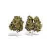 Woodland Scenics 5 - 6 In. Waters Edge Trees