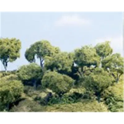 Woodland Scenics 5.5 - 6.5 In. Hardwood Trees