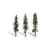 Woodland Scenics 6 - 7 In. Standing Timber Trees