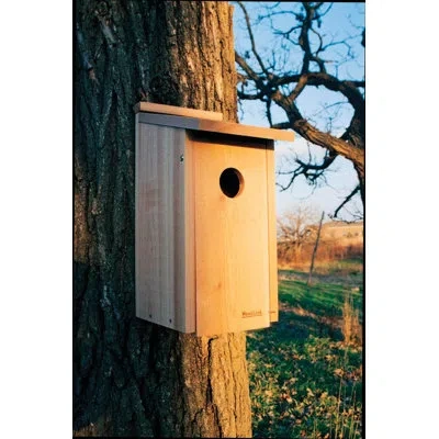 Woodlink 15 In X 7 In X 9.5 In Woodpecker House