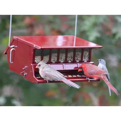 Woodlink Hopper Bird Feeder