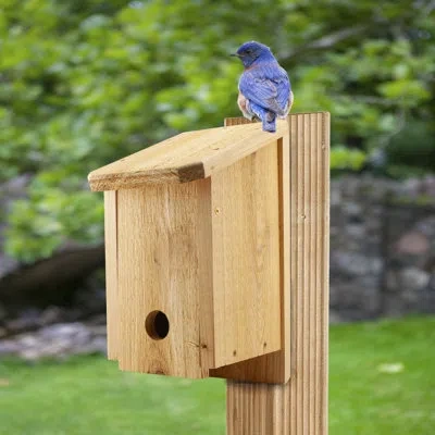 Woodlink Winter Roosting 15 In X 10 In X 6 In Birdhouse