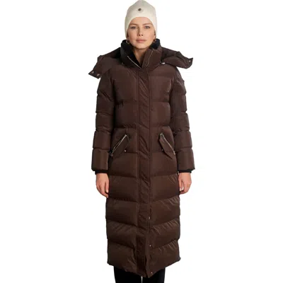 Woodpecker Bird Of Paradise Quilted Coat In Brown