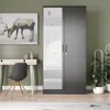 Woodpeckers Furniture And Mattress Mirrored 2 Door Wardrobe In Black Color In Gray