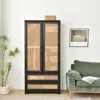 Woodpeckers Furniture And Mattress Solid Pine Wood Rattan Closet With 2 Drawers In Black Color