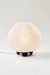 Wooj Design The Coral Lamp In Clear At Urban Outfitters