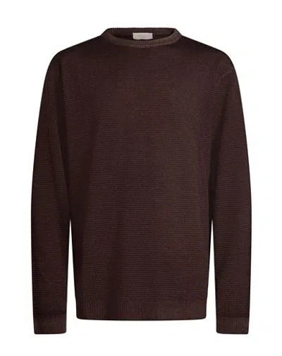 Wool & Co Man Sweater Brown Size Xxl Merino Wool